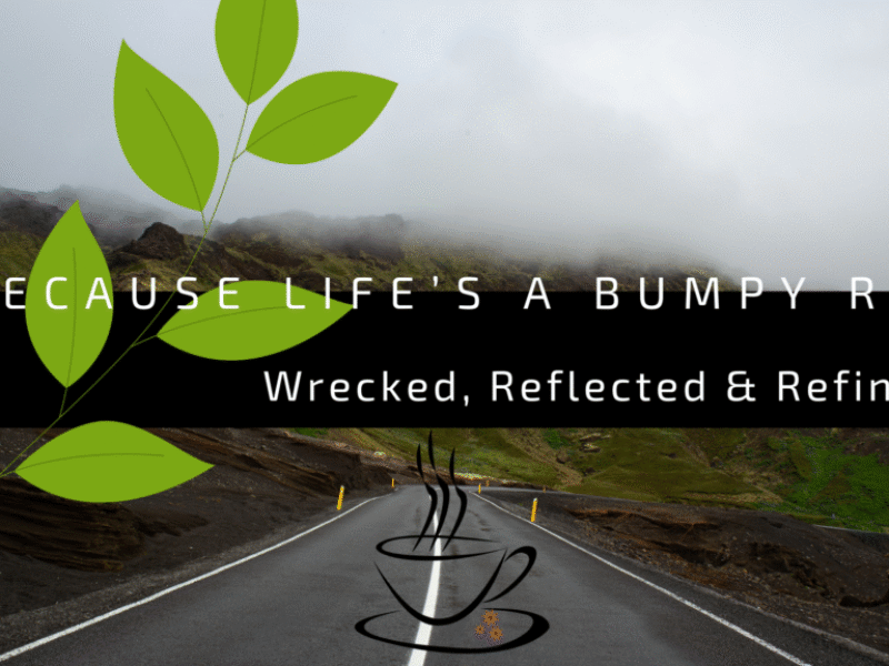 Wrecked, Reflected & Refined Life Lessons from the Crash